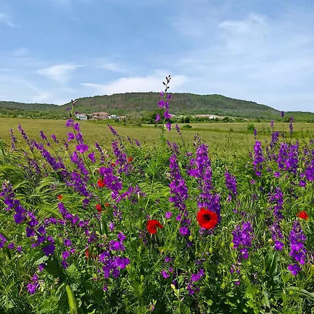 Case de vacanță Daisy Harmony Hills *