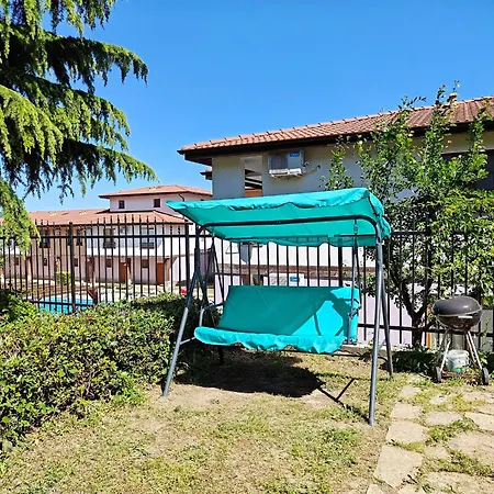 Daisy Harmony Hills *